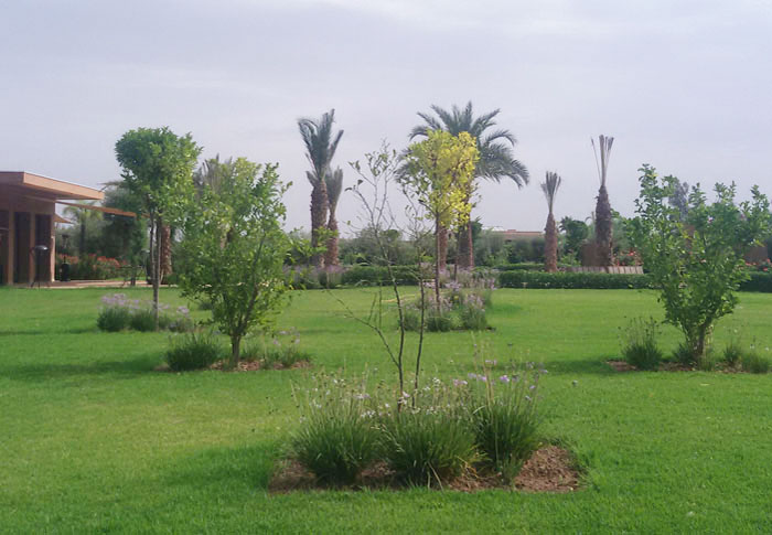 Amenagement-des-jardins-2
